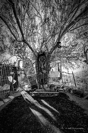 _JMG7472-Edit