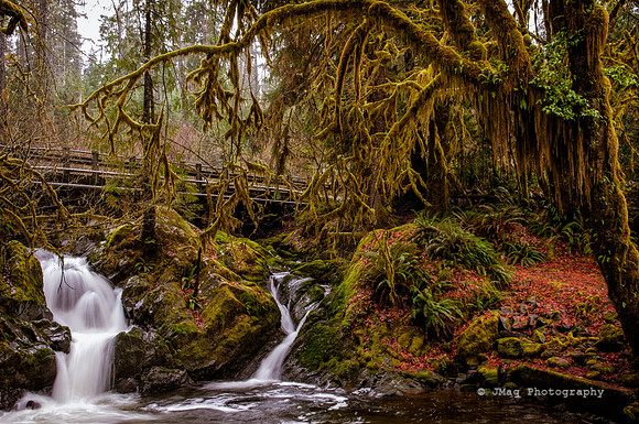 _JMG0355-Edit