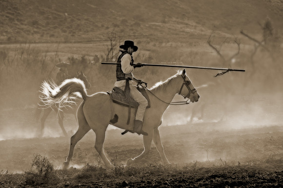 Battle of San Pasqual