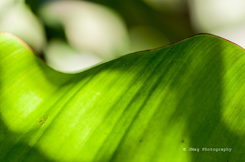 November 13, 2013 - Backlit