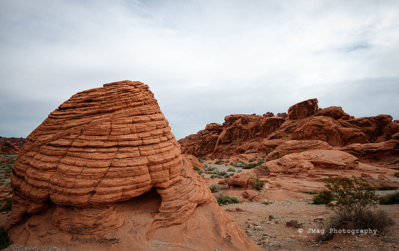 _JMG8884_5_6