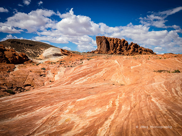P3120733-Edit