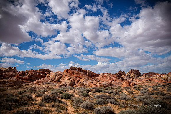 _JMG9452_3