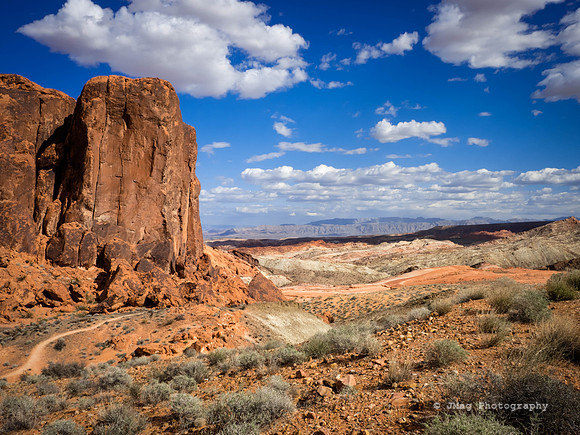 P3120810-Edit