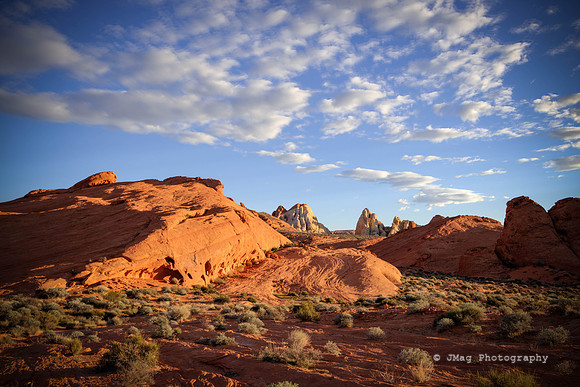 _JMG9537_38_41