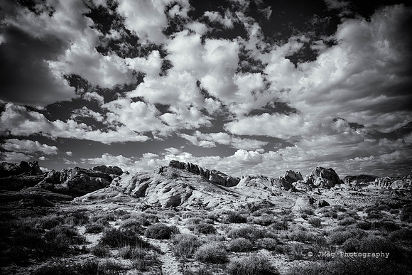 _JMG9452-Edit