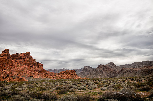 _JMG8914-Edit-Edit
