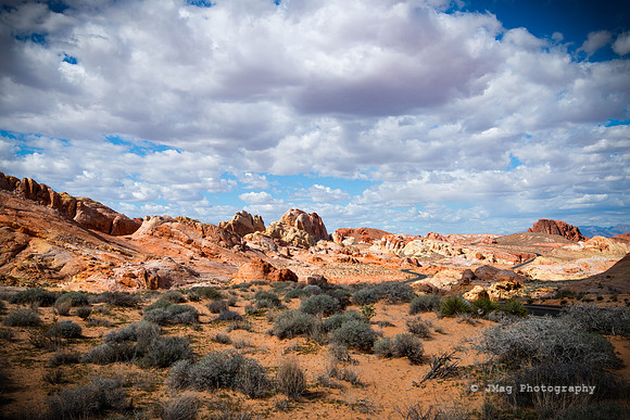 _JMG9435-Edit