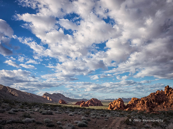 P3120856-Edit-Edit