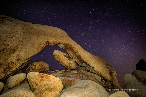 Joshua Tree