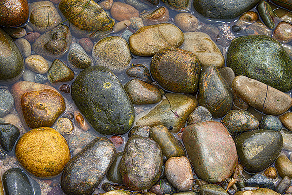 Tide Pools in Point Loma