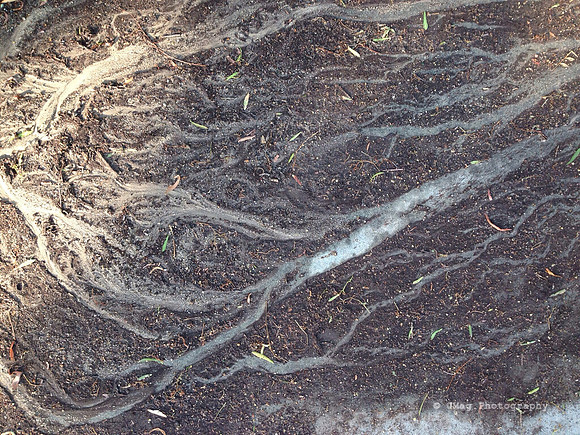 August 20, 2013 - Dust and Water