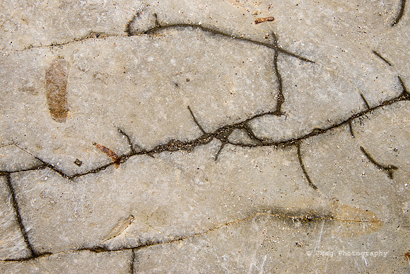March 27, 2013 Cracks in the Rock_