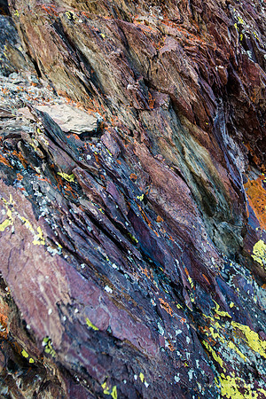 White Mountains-Bristlecones138