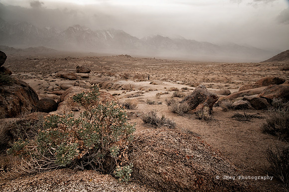 _JMG3107-Edit