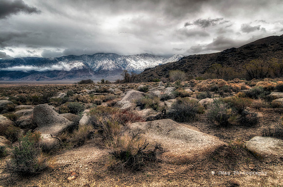 _JMG3613_5_7-Edit-Edit