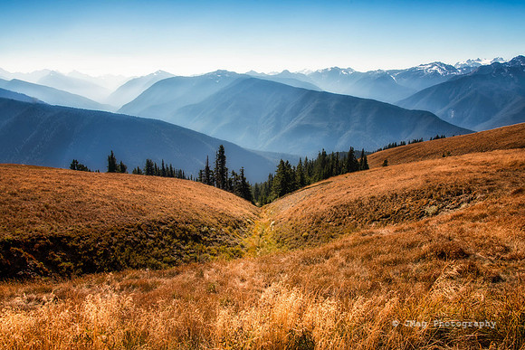 Hurricane ridge