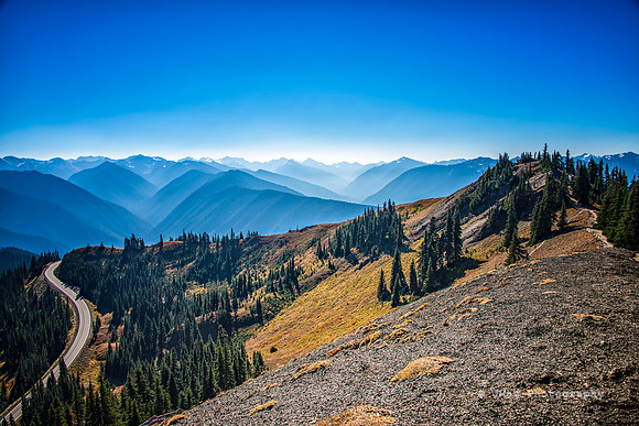 Hurricane Ridge