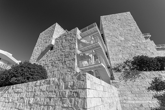 _JMG6181
