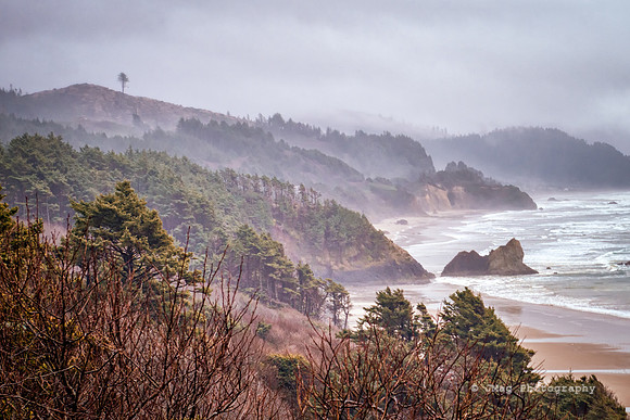 Janaury 28, 2013 - Oregon Coast_