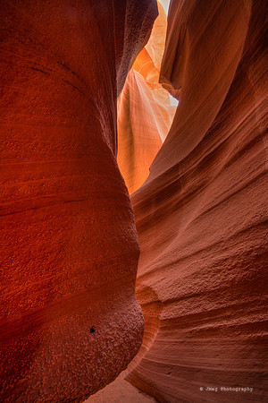 _JMG1858_59_60_61