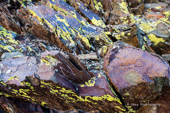 White Mountains-Bristlecones144