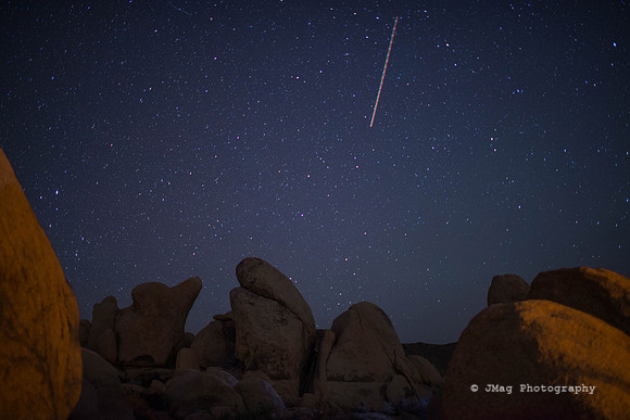 Joshua Tree