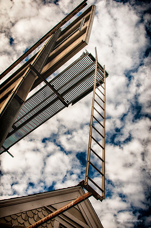 March 3, 2013 - Up into the Sky