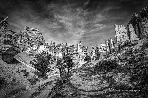 _JMG0128_29_31-Edit