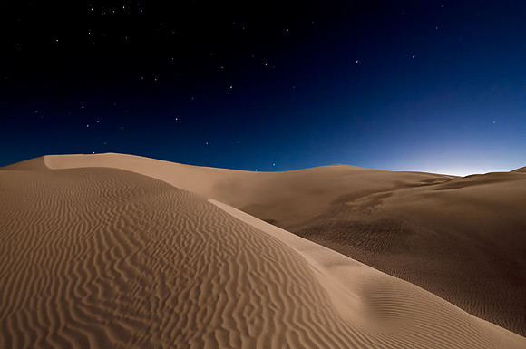Desert Night