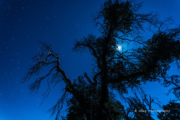 April 22, 2013 - Stary Night