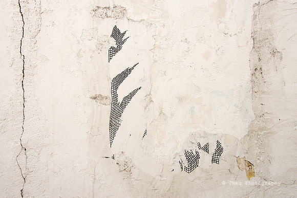 April 23, 2013 A wall
