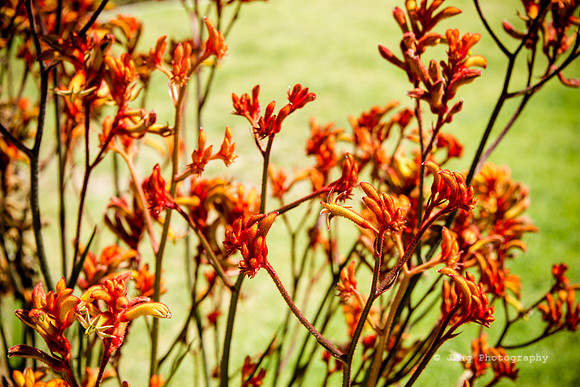 May 7, 2013 - Orange and green
