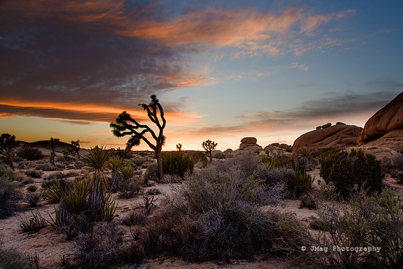 _DSC6117-Edit