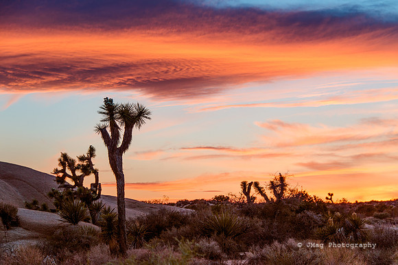 May 4, 2013 - Joshua Tree - Sunset