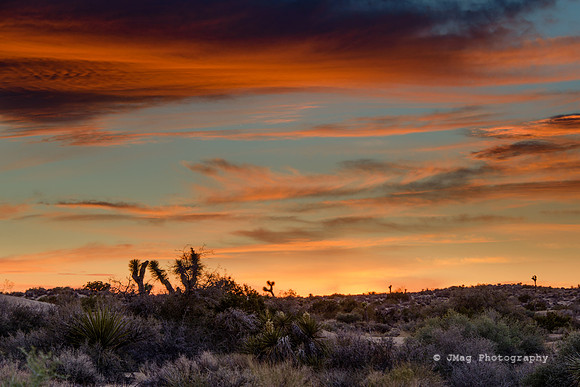 _DSC6151-Edit