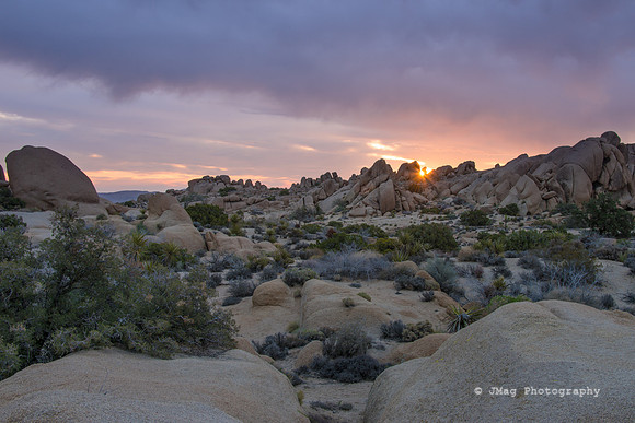 May 5, 2013 - Joshua Tree Sunrise
