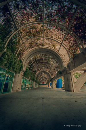 Strolling around the City