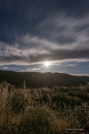Mount Laguna167