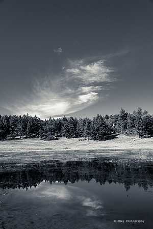 Mount Laguna27