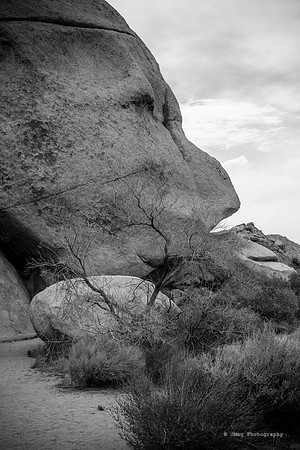 _DSC6347