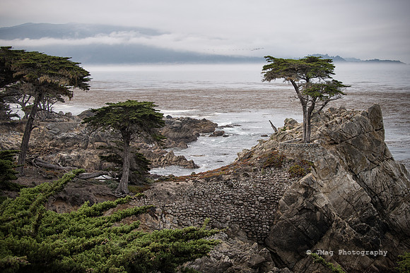 PCH2013386-Edit