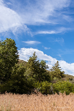 Mount Laguna45