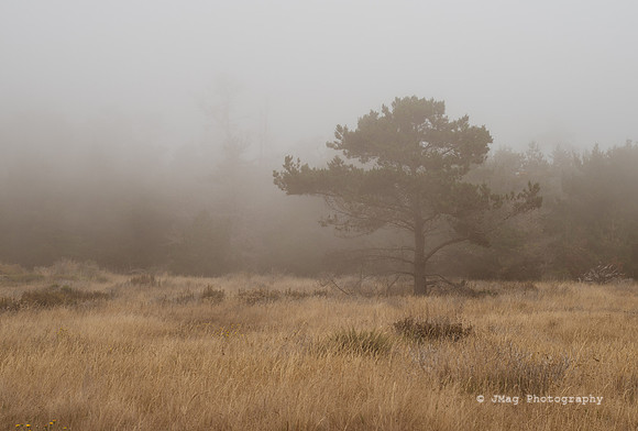 July 22, 2013 - PCH20131066