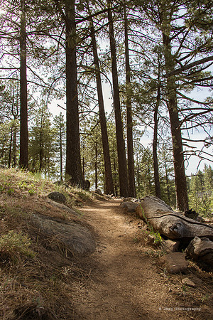 Mount Laguna31