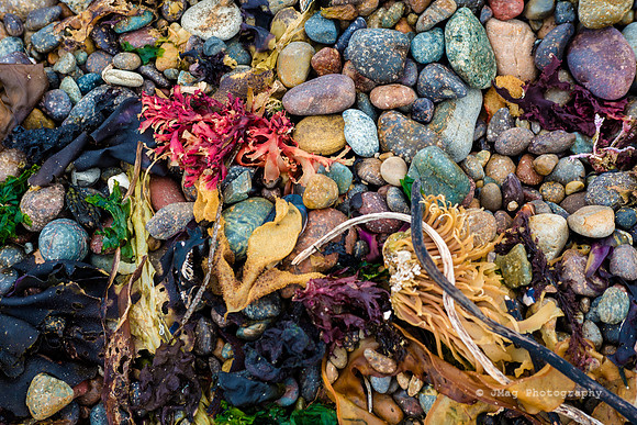 PCH20131036