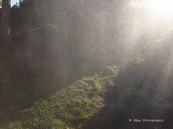 August 21, 2013 - Early Sunlight