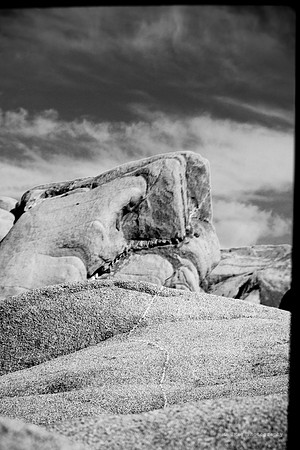 _DSC6094