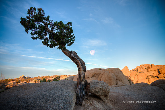 _DSC6980_1_2-Edit