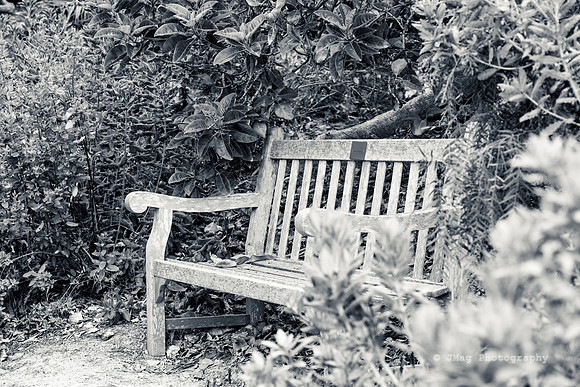 _JMG9079